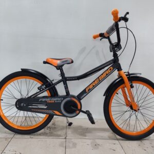Bicicleta infantil Fire Bird Rocky R20