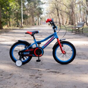 Bicicleta fire bird R16 (varón)